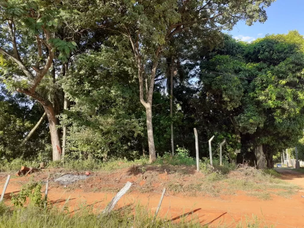 Vendo Terreno en Limpio ubicado en esquina superficie 1080 m2 — foto 3