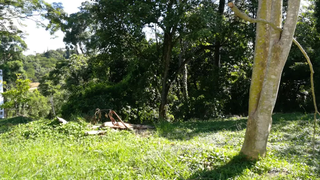 VENDO TERRENO EN EL PARANA COUNTRY CLUB — foto 3