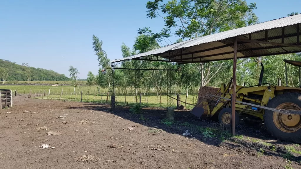ESTANCIA FORMADA EN NUEVA ITALIA — foto 3
