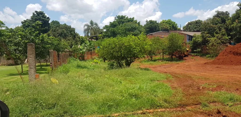 VENDO 2 TERRENOS FRENTE A VILLA BANCARIA, 819 mts2!! — foto 3