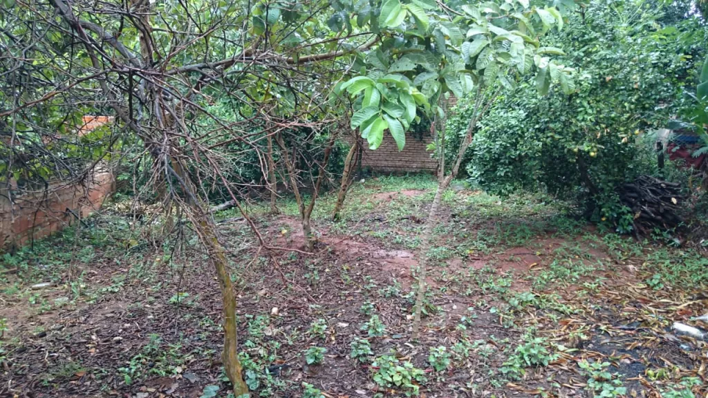 VENDO TERRENO 12 X 30 EN VILLA ELISA ZONA CENTRICA — foto 3
