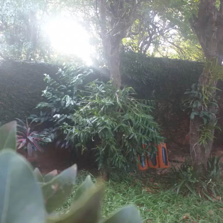 Vendo hermosa casa en villa Elisa zona residencial.! — foto 3