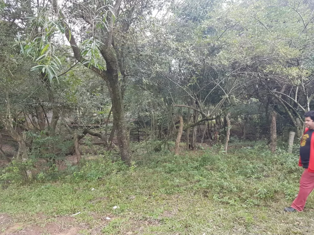 Vendo terreno zona ytororo — foto 2