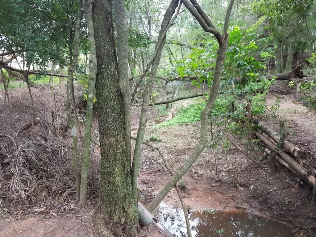 Vendo terreno zona ytororo — foto 3