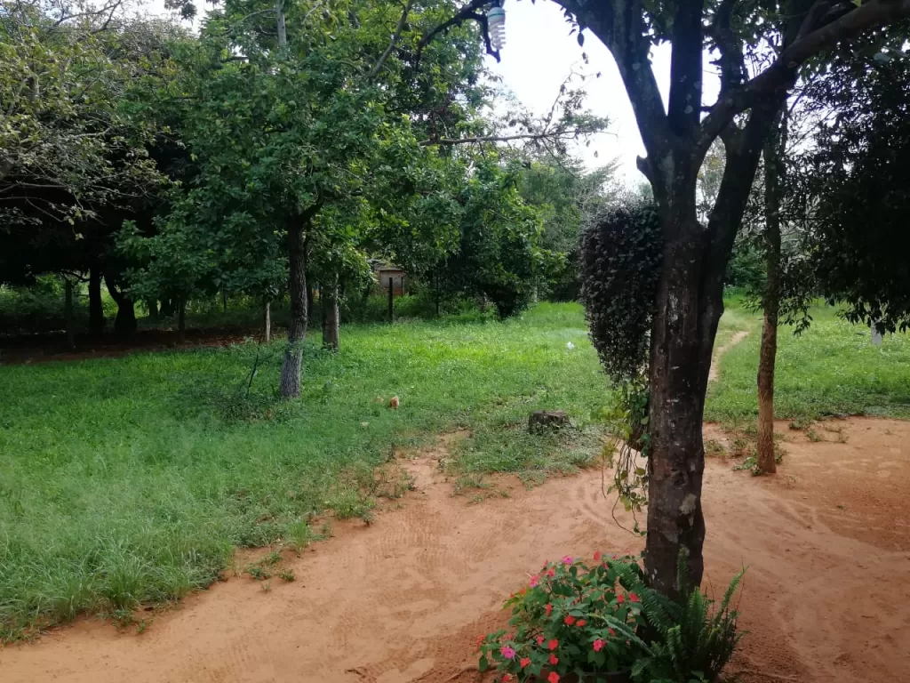 REGALO TERRENO ZONA ROTONDA RUTA 1 Y ACCESO SUR — foto 2