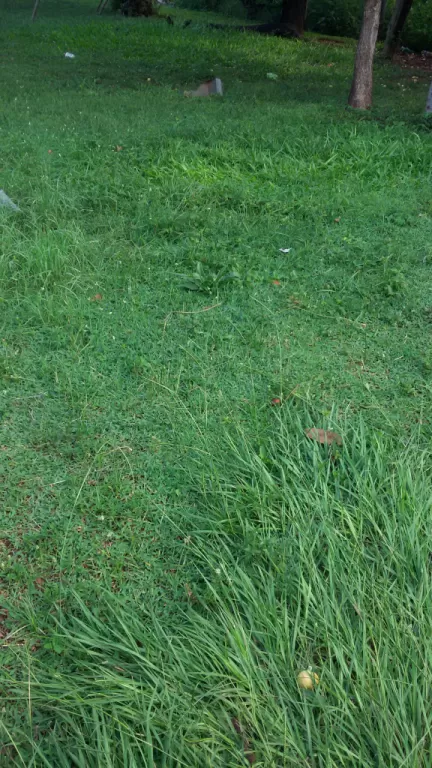 REGALO TERRENO ZONA ROTONDA RUTA 1 Y ACCESO SUR — foto 3