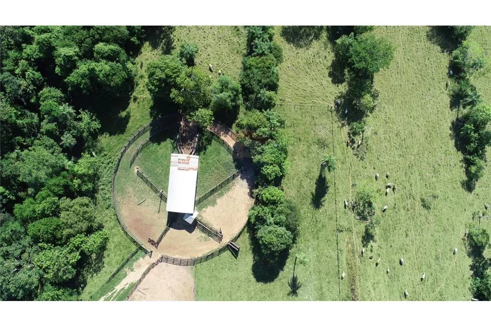 IMPERDIBLE - HERMOSO CAMPO AGRO GANADERO 765HA. 1,530,000 USD — foto 3