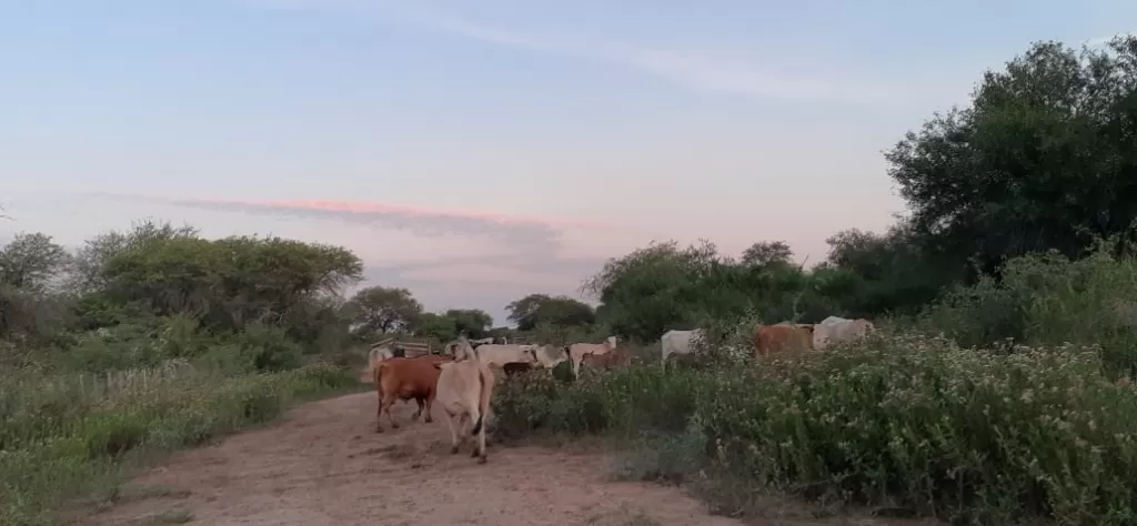 VENDO ESTANCIA EN AL DEPARTAMENTO DE BOQUERON — foto 3