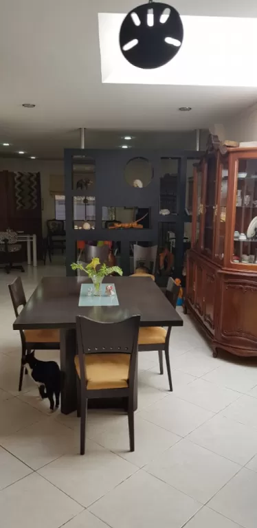 CARMELITAS, EL MANGAL: RESIDENCIA EN PLANTA BAJA, 4 DORMITORIOS, SÓLO 350.000 USD. — foto 2
