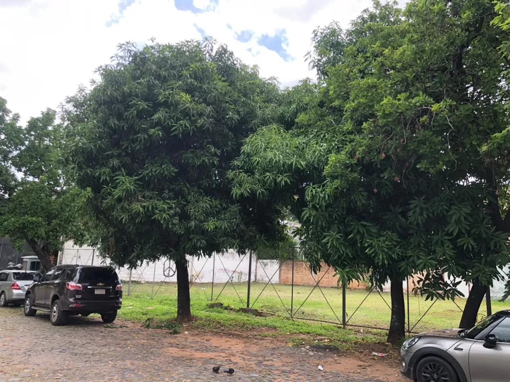 VENDO! TERRENO EN ESQUINA - BO MARISCAL ESTIGARRIBIA — foto 2