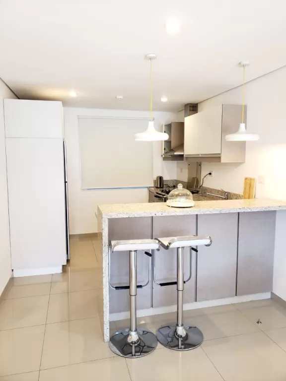 VENDO DEPARTAMENTO TOTALMENTE AMOBLADO A 2 CUADRAS DE BOGGIANI — foto 2