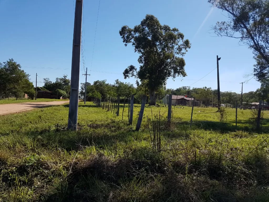 Vendo terreno Limpio camino a Piquete Cue — foto 3