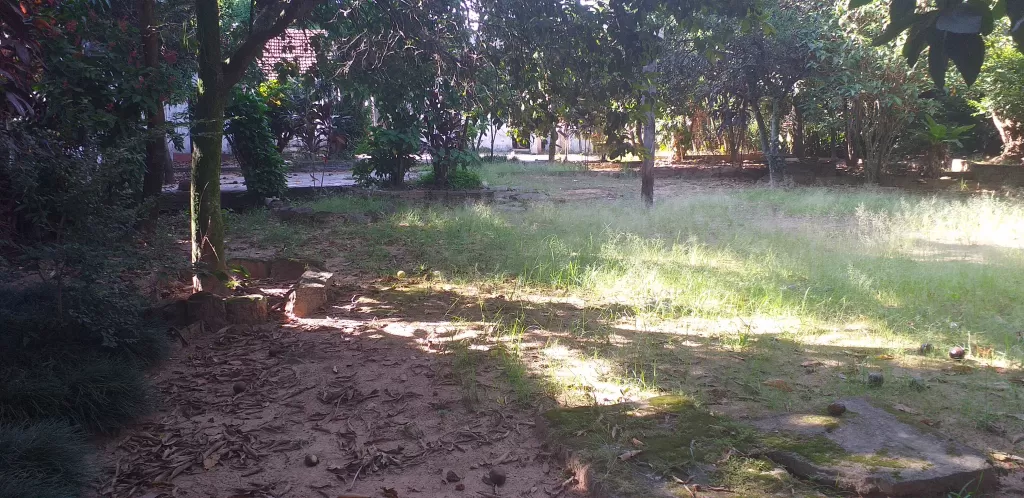 Vendo Casa en el centro de San Pedro del Paraná — foto 3