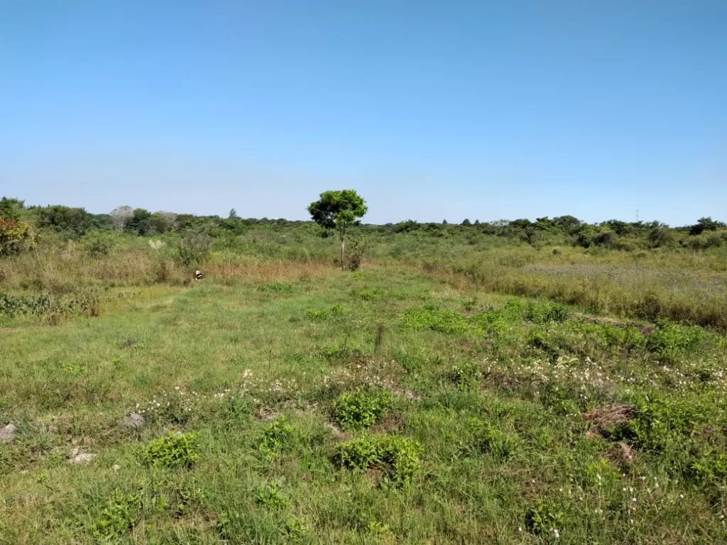 Terreno de 1 hectárea y media en Capiatá — foto 2