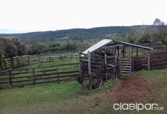 MBUYAPEY, PARAGUARÍ: INIGUALABLES 430 HAS, ESTANCIA MODELO, MONTES, CAMPOS. — foto 2