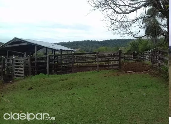 MBUYAPEY, PARAGUARÍ: INIGUALABLES 430 HAS, ESTANCIA MODELO, MONTES, CAMPOS. — foto 3