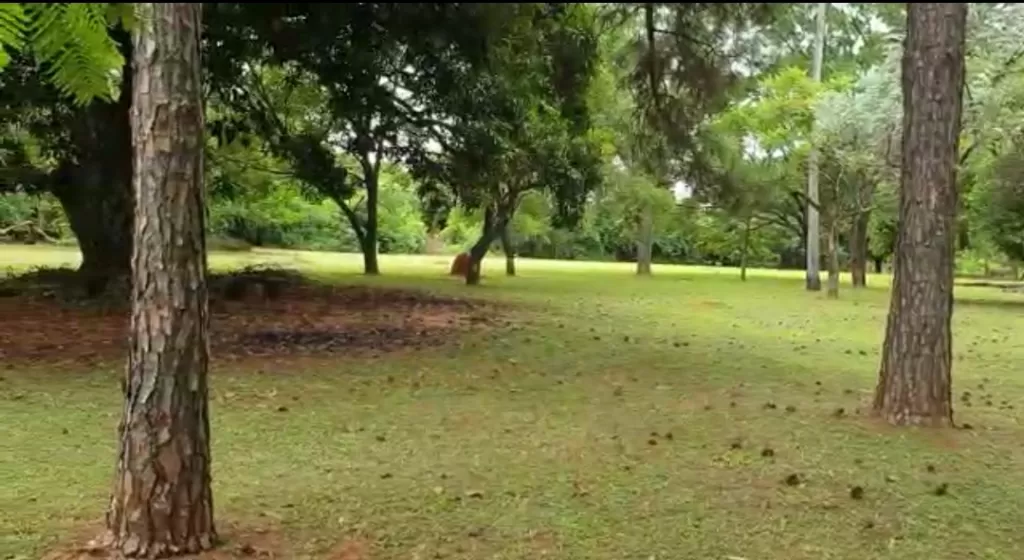 ITAUGUÁ (RUTA AREGUA-PATIÑO): 3,2 HAS INIGUALABLE, CASA QUINTA EN VENTA, 290.000 USD — foto 2