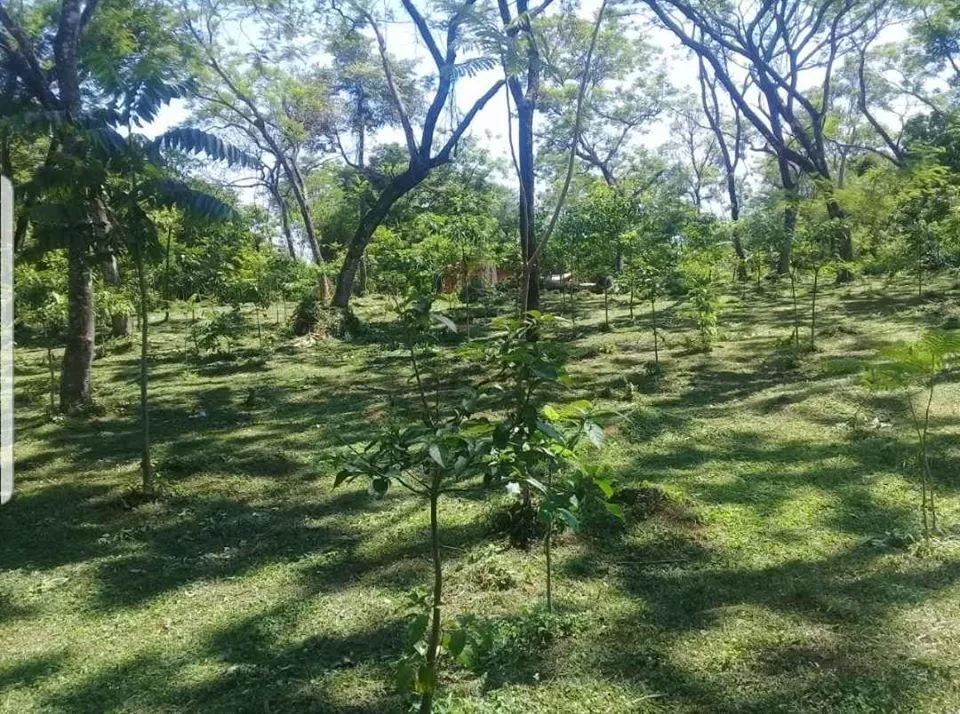 VENDO TERRENO DE 12.375 mts2. - Entre Itacurubi de la Cordillera y Santa Elena — foto 2