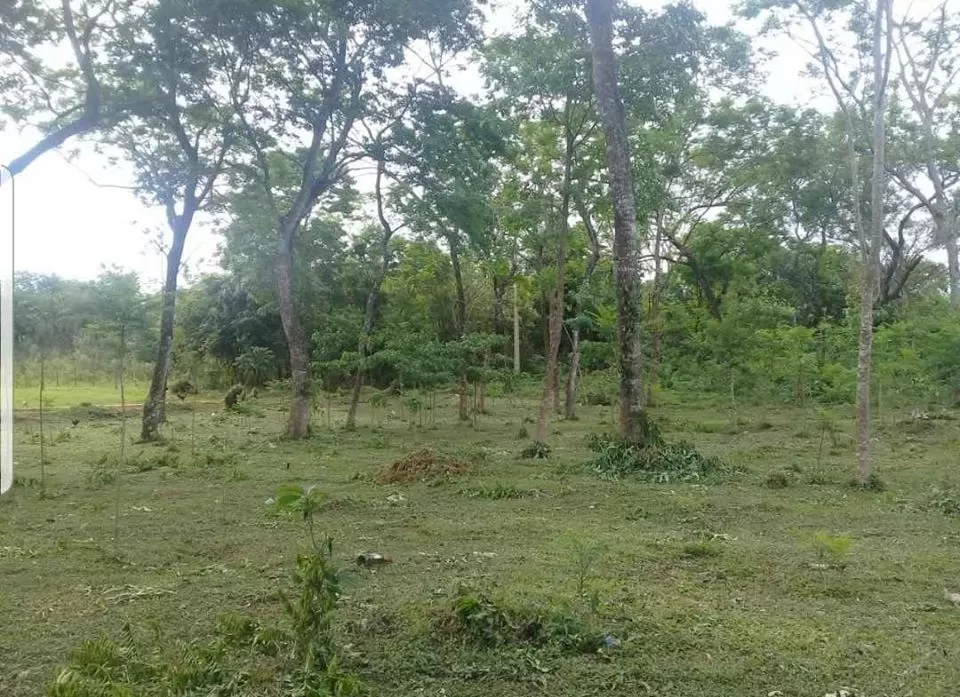 VENDO TERRENO DE 12.375 mts2. - Entre Itacurubi de la Cordillera y Santa Elena — foto 3