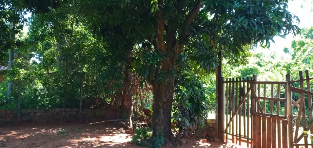 TERRENO CON CASA EN AREGUA!!! — foto 2