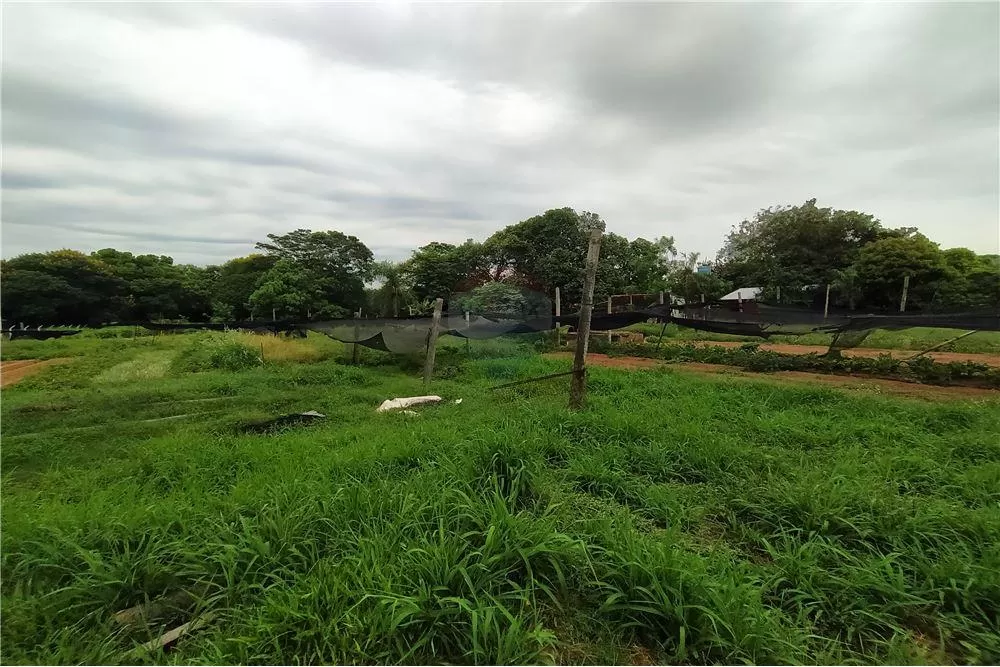 VENDO TERRENO EXCLUSIVO PARA DESARROLLOS — foto 2