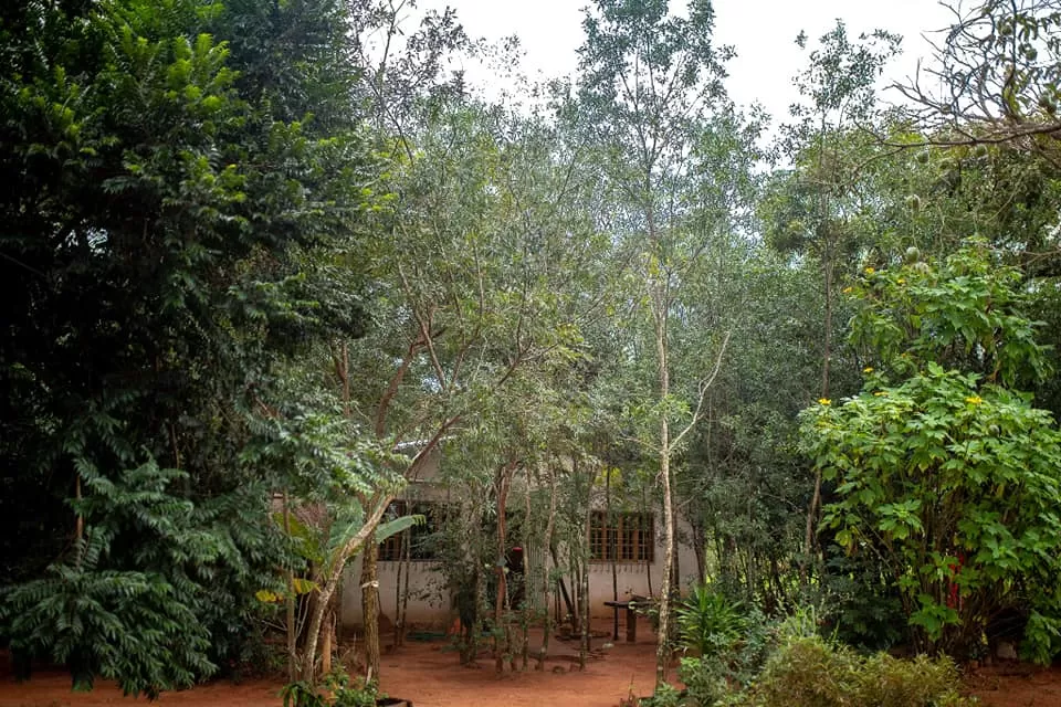 Hermosa Casa sobre Ruta 7- Caaguazú — foto 3