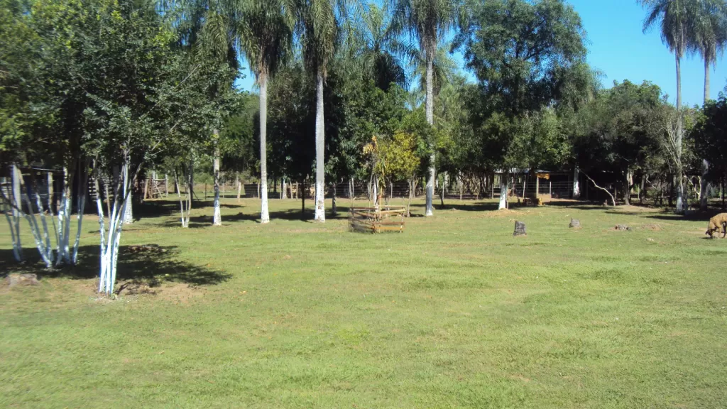 Vendo Propiedad en Emboscada 10 hectareas. — foto 2