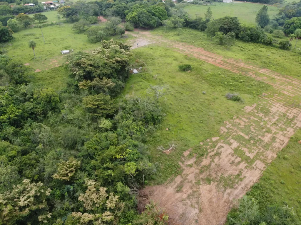 Últimos 5 lotes Titulados — foto 3