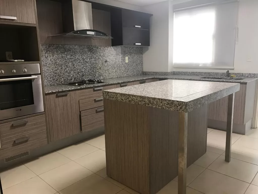 VENDO AMPLIO DEPARTAMENTO – ZONA CENTENARIO — foto 2