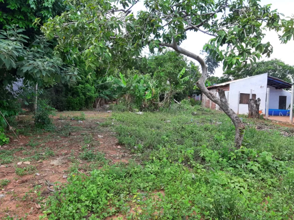 Vendo Terreno — foto 3