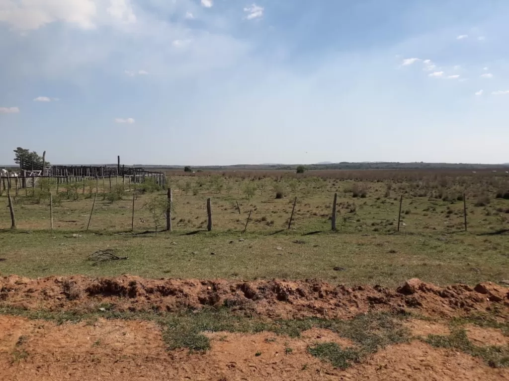 Campo de 70 hectáreas — foto 2