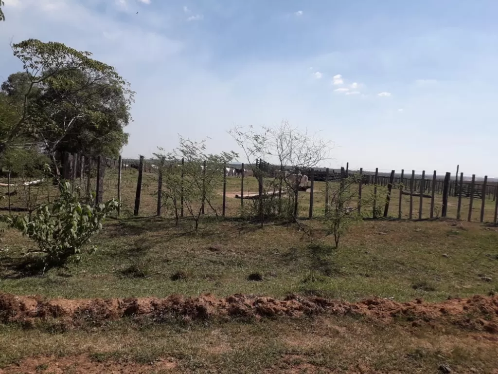 Campo de 70 hectáreas — foto 3