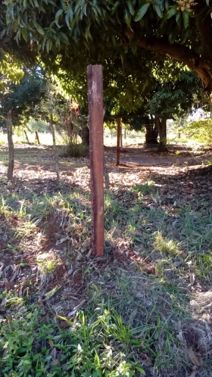 Terreno en San Cosme y Damian — foto 2