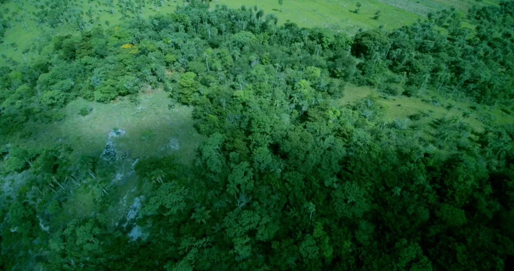 Piribebuy: único terreno de 25 hectáreas con vistas panorámicas sobre una meseta pedregosa — foto 3