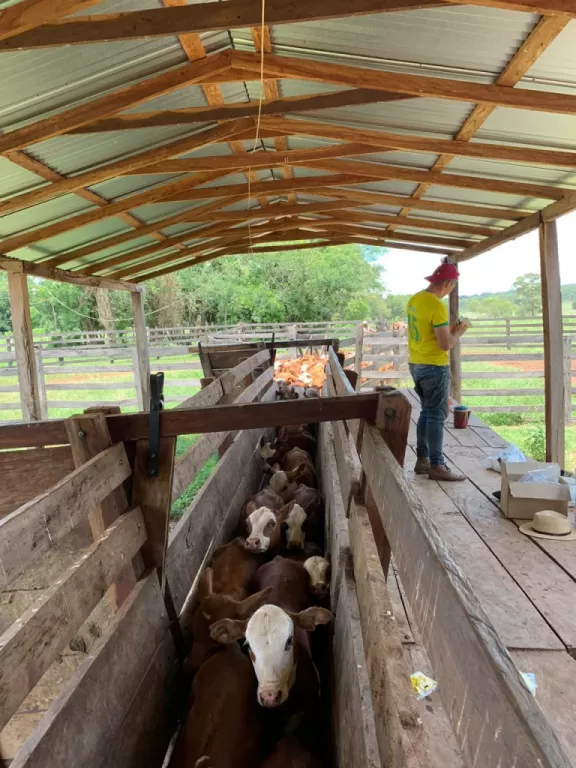 CHORÉ, SAN PEDRO DEL YCUAMANDIYÚ: 340 HECTÁREAS, AGRO-GANADERAS — foto 2