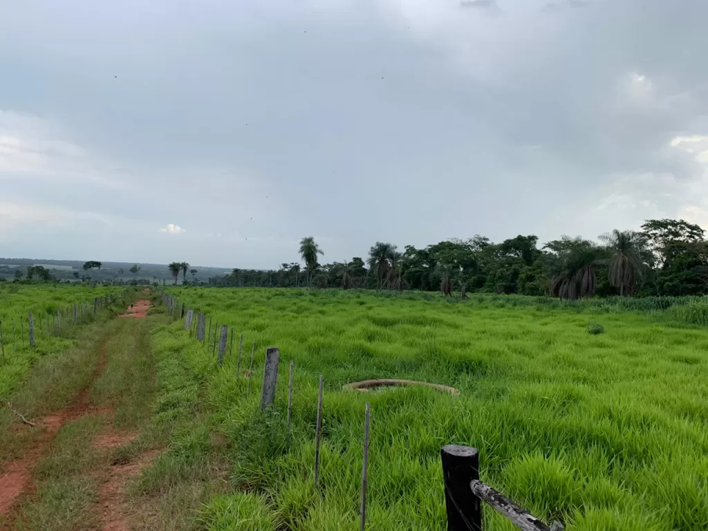 CHORÉ, SAN PEDRO DEL YCUAMANDIYÚ: 340 HECTÁREAS, AGRO-GANADERAS — foto 3