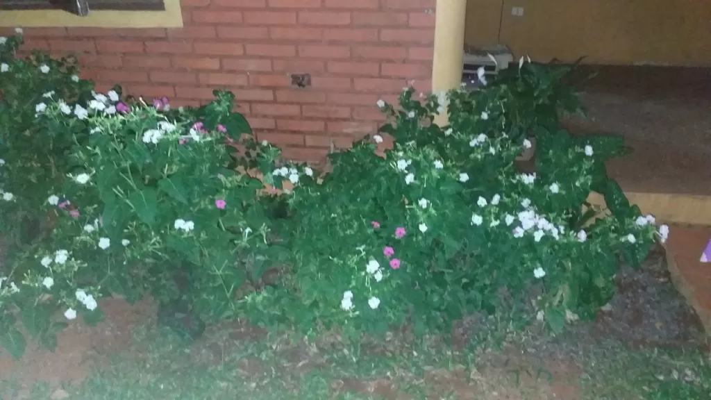 Alquilo Casa tipo dúplex en Villa Elisa — foto 3