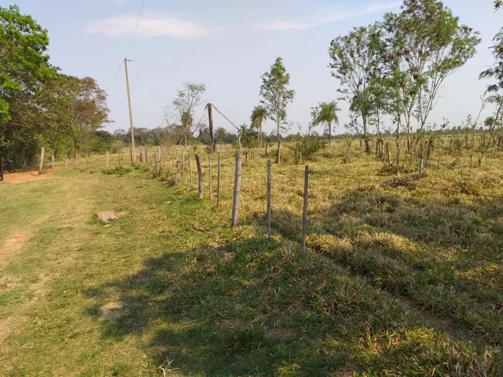 Vendo Estancia Campo 1600 hectarea en Caaguazu — foto 3