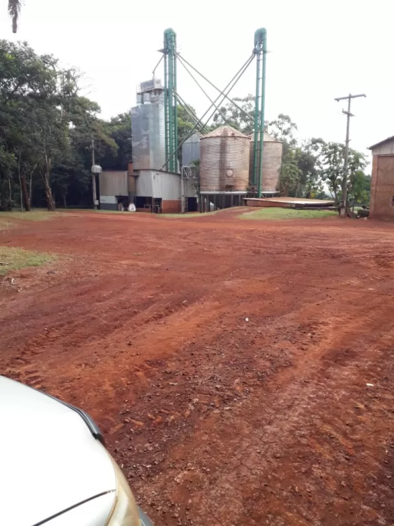 Vendo Propiedad 740 hectarea en Naranjal Alto Paraná — foto 3