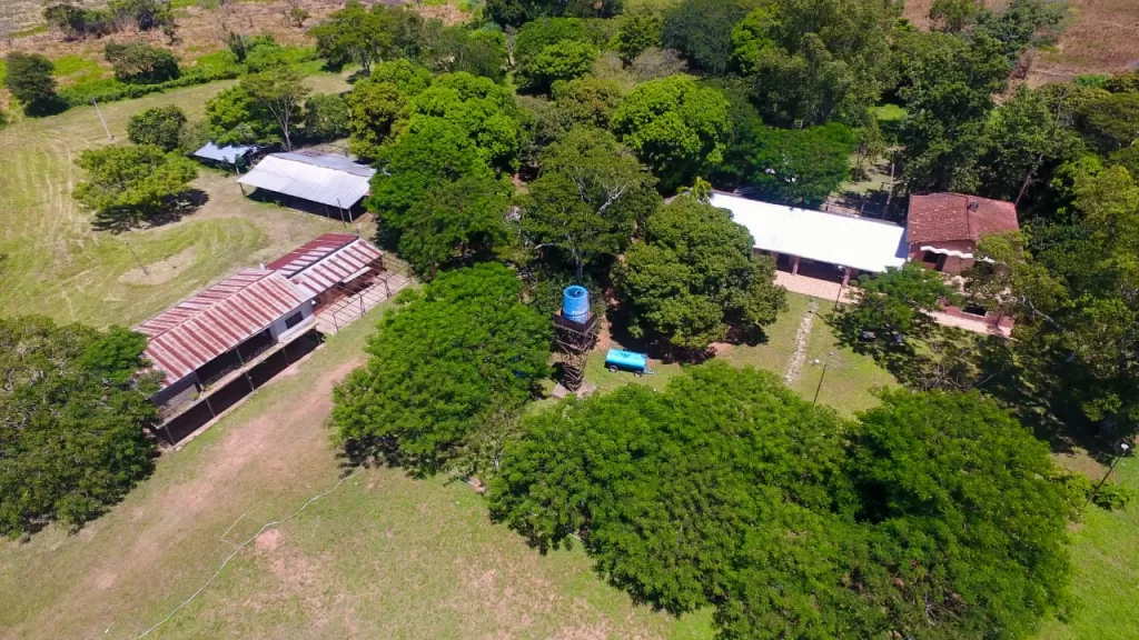 Vendo estancia formada 3500 hectarea Concepción — foto 3