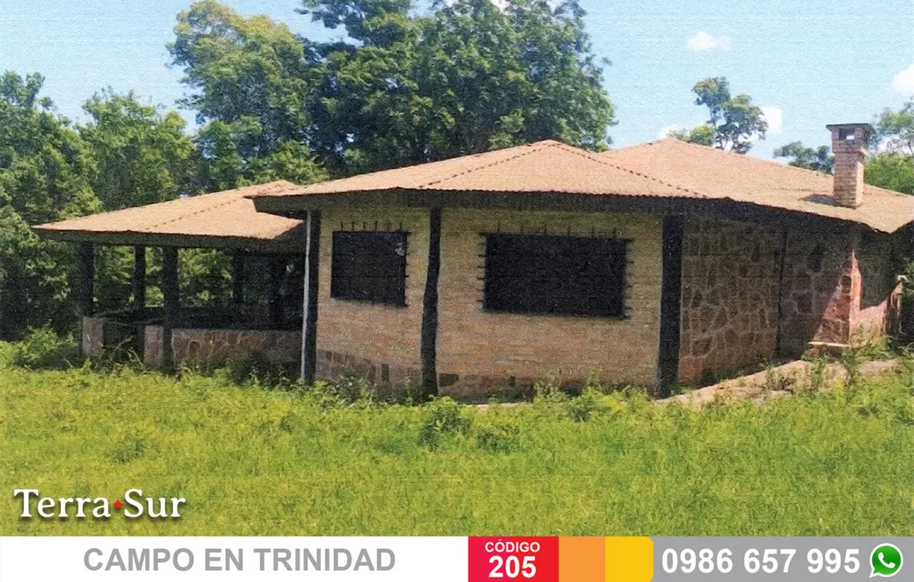 INTERESANTE PROP. RURAL DE 85 ha. EN TRINIDAD, RIO PARANA — foto 3