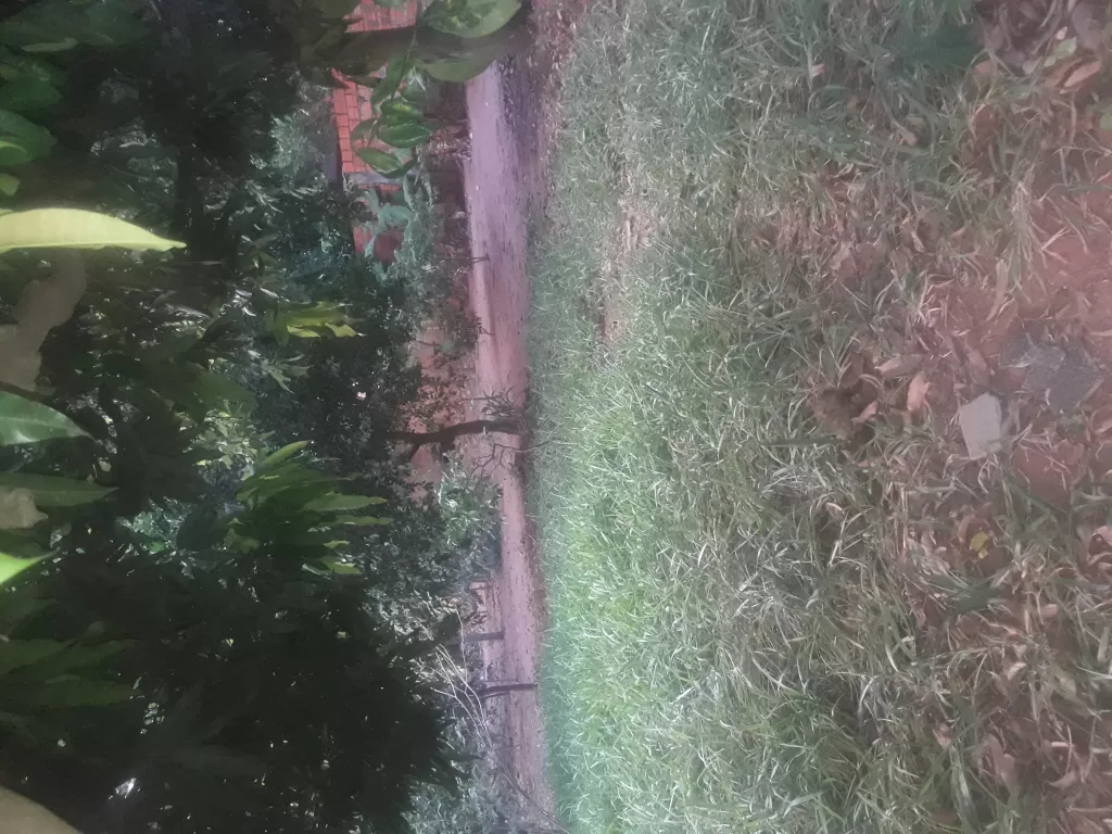 Vendo Terreno!!! — foto 2