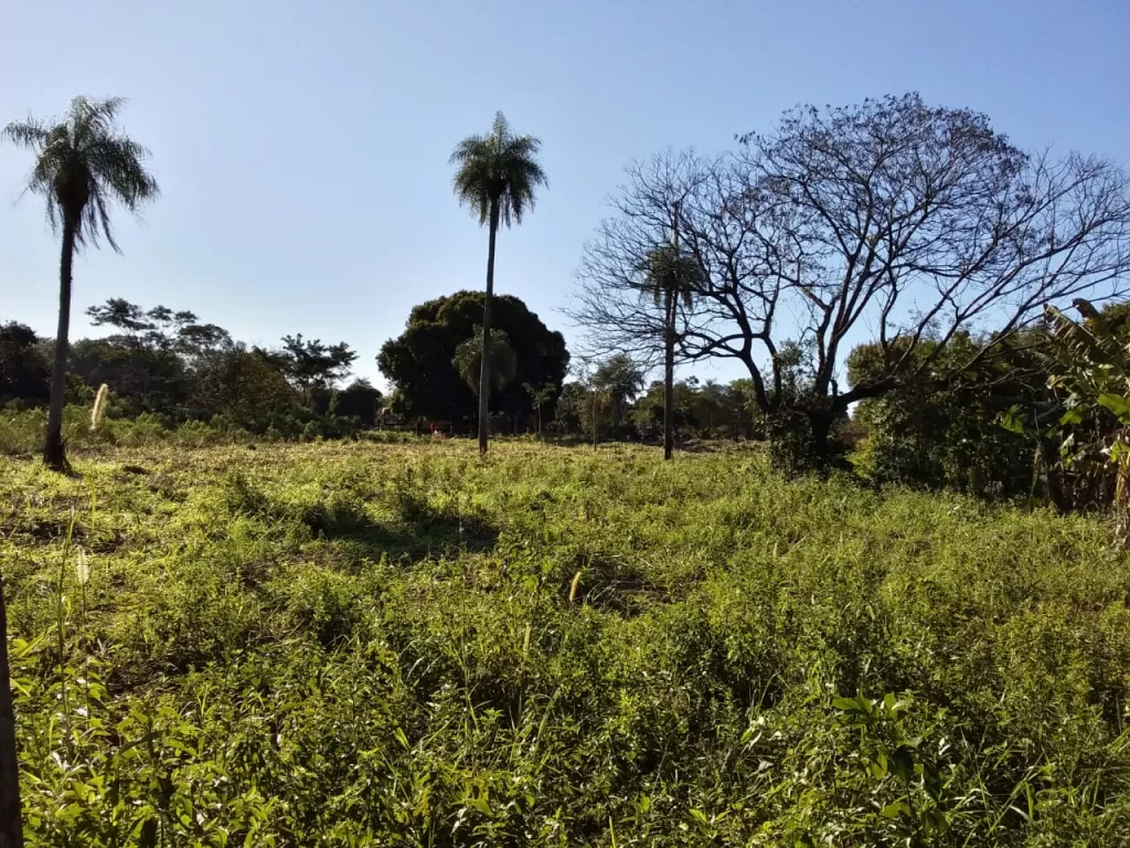 Terreno para casa quinta — foto 2