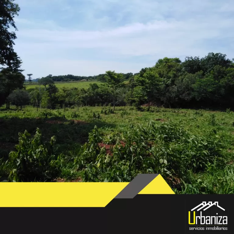 INMUEBLE RURAL EN HOHENAU PUERTO — foto 2
