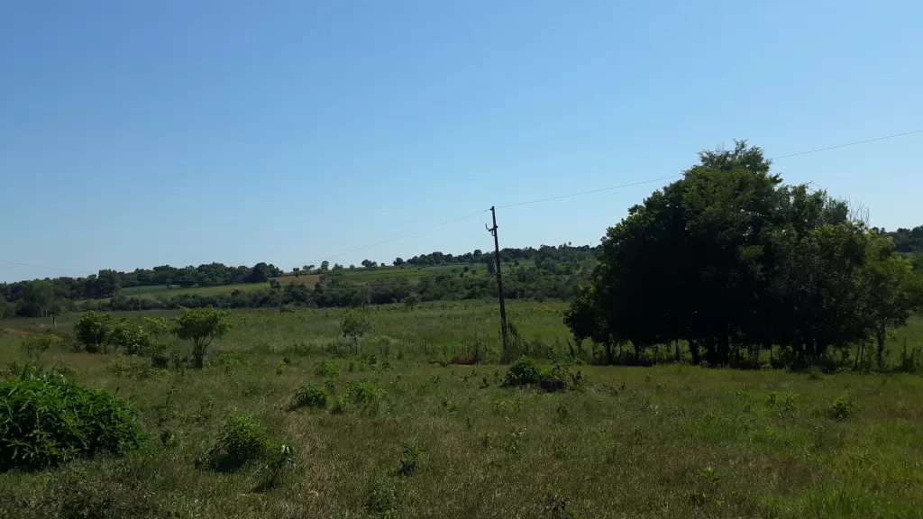 Vendo Terreno de 25 Hectáreas en Caaguazu — foto 2