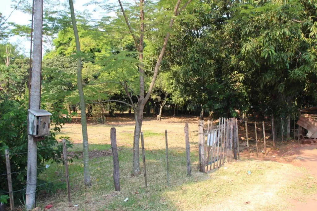 Vendo 1.4 Hectarea Tarumandy-Luque — foto 2