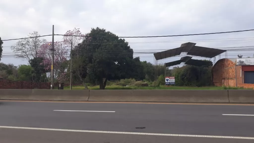 VENDO UNA HECTÁREA SOBRE RUTA EN ITAUGUA — foto 3