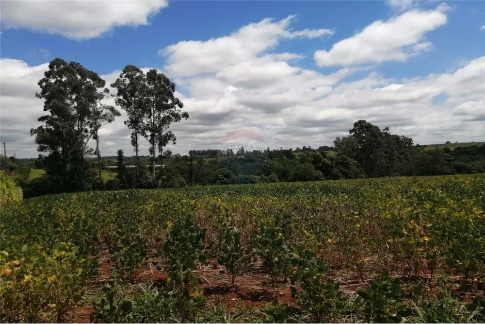 BELLA PROPIEDAD AGROGANADERA EN VENTA EN ALTO VERA 270,000 USD — foto 3