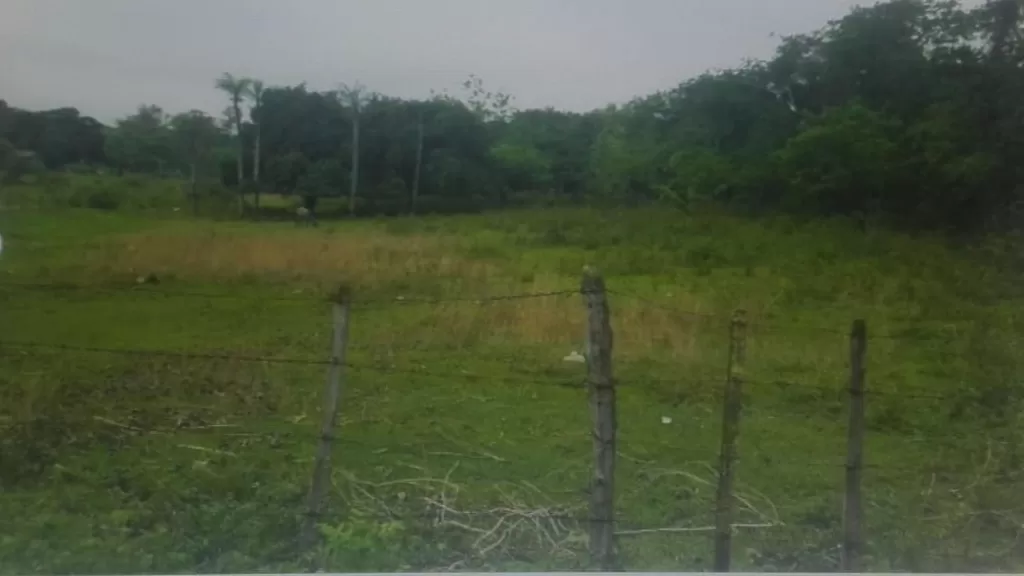 LIMPIO (Z SALADO): IMPERDIBLE OPORTUNIDAD, 1,5 HAS IDEALES P DESARROLLOS INMOBILIARIOS. — foto 2