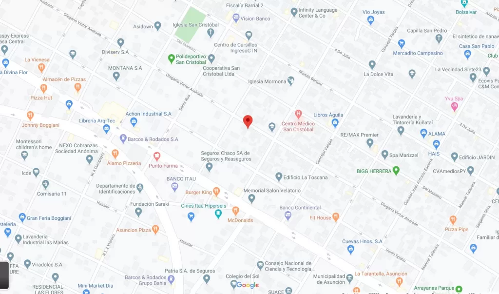 VILLA AURELIA (MUNICIPALIDAD, BOGGINI): 546M2 IDEAL P RESIDENCIAS, DÚPLEX, DEPTOS, ETC. — foto 3